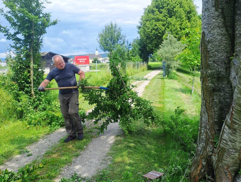 Juni – Woche 24