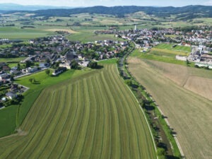DJI_0321