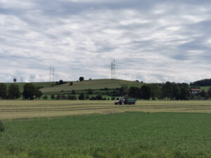 einsilieren